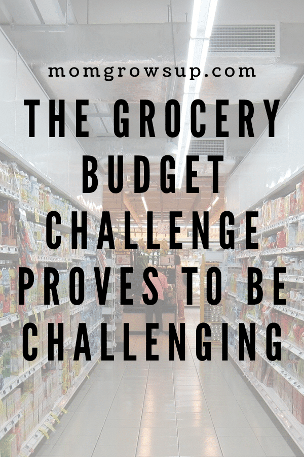 The Grocery Budget Challenge Proves to Be Challenging