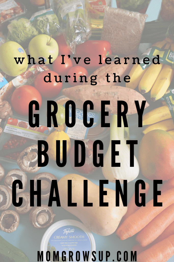 What I’ve Learned During the Grocery Budget Challenge