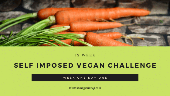 Self-Imposed 12 Week Vegan Challenge:  Week 1 Day 1