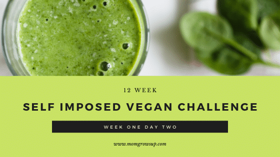Self-Imposed 12 Week Vegan Challenge:  Week 1 Day 2