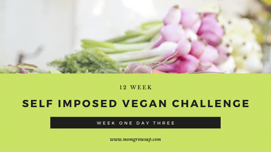 Self-Imposed 12 Week  Vegan Challenge:  Week 1 Day 3