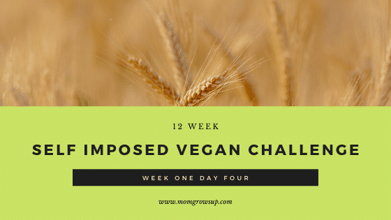 12 Week Self-Imposed Vegan Challenge:  Week 1 Day 4