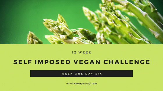 12 Week Self-Imposed Vegan Challenge:  Week 1 Day 6