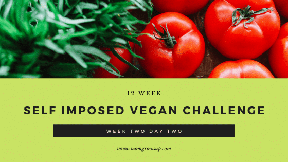 12 Week Self-Imposed Vegan Challenge:  Week 2 Day 2