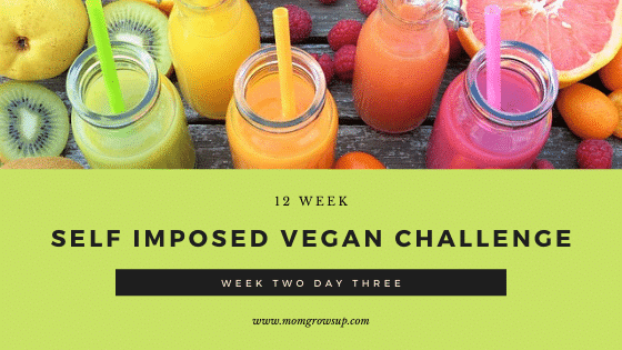 12 Week Self-Imposed Vegan Challenge:  Week 2 Day 3