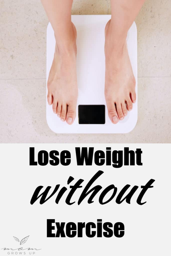 Lose Weight without Exercise